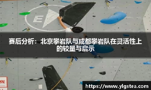 赛后分析：北京攀岩队与成都攀岩队在灵活性上的较量与启示